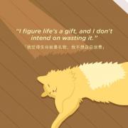 成人零基础英语辅导