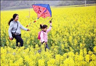 清明节父母这样陪孩子才最有意义