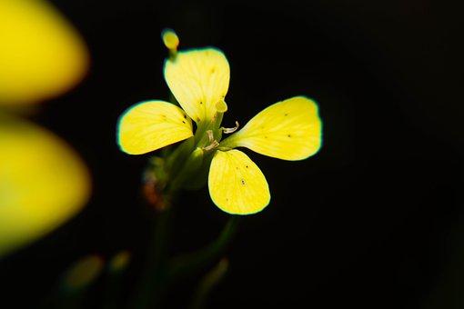 过来人分享:正确的生物学习方法
