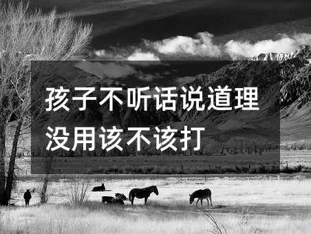 孩子不听话说道理没用该不该打