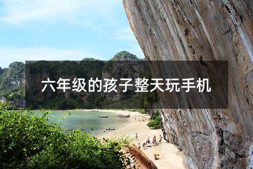 六年级的孩子整天玩手机