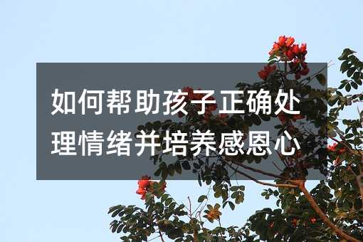 怎么样帮助孩子正确处置情绪并培养感恩心