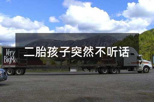 二胎孩子忽然叛逆