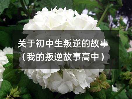 关于中学生不听话的故事