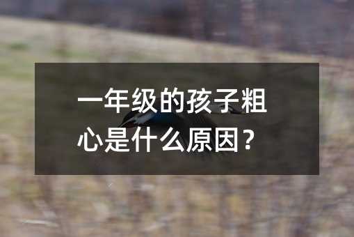级的孩子粗心是哪些原因？