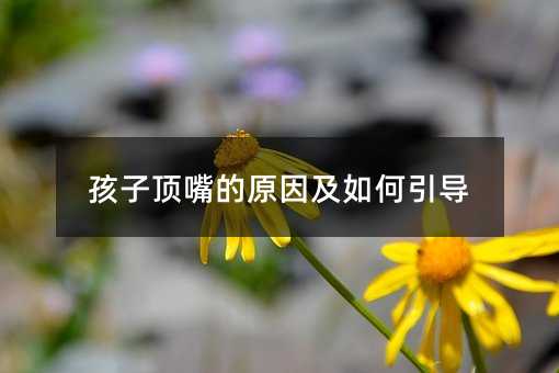 孩子顶嘴是什么原因及怎么样引导