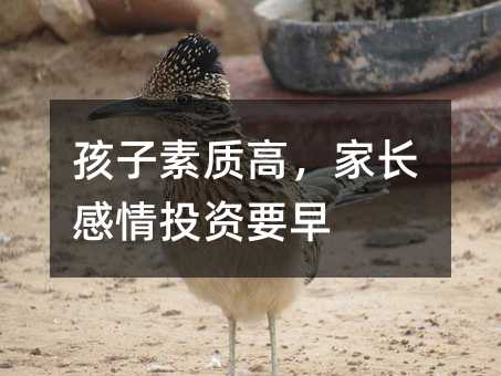 孩子素质高,家长感情投资要早