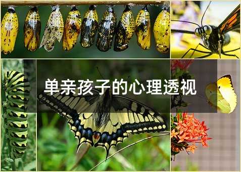 单亲孩子的心理透视