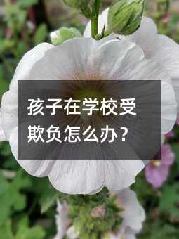 孩子在学校受欺负怎么办?