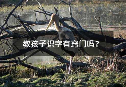 教孩子识字有窍门吗?