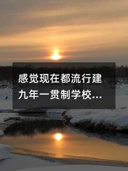 感觉现在都流行建九年一贯制学校了,这是为什么?跟独立中小学比有什么优劣势?