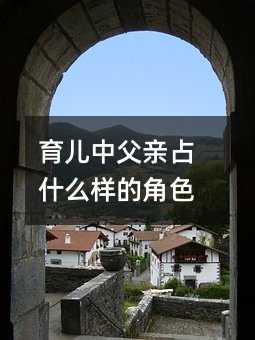 育儿中父亲占什么样的角色