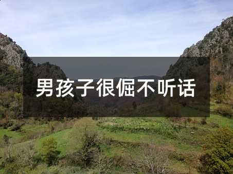 男孩子很倔不听话