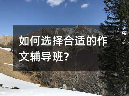 怎么样选择适合的作文辅导班？