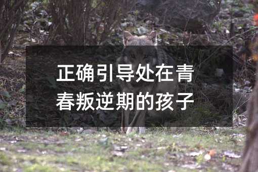 正确引导处在青春叛逆期的孩子