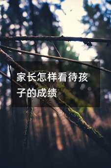 家长怎样看待孩子的成绩