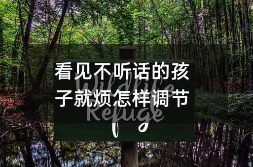 看见叛逆的孩子就烦如何调节