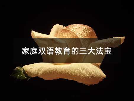 家庭双语教育的三大秘籍
