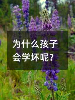 为何孩子会学坏呢？
