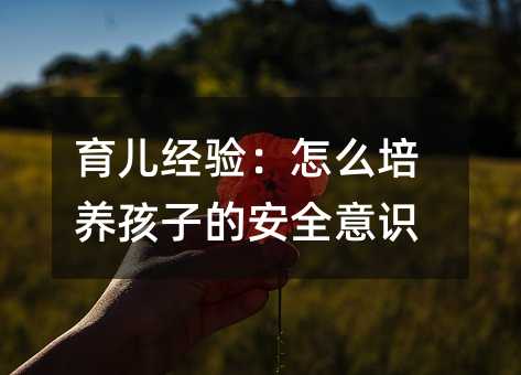 育儿经验:怎么培养孩子的安全意识