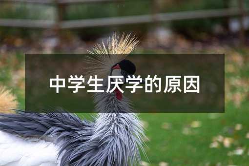 中学生厌学的原因