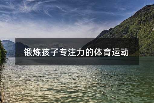 锻炼孩子专注力的体育运动