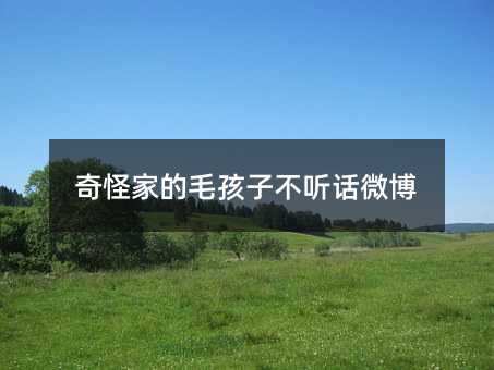 奇怪家的毛孩子叛逆微博