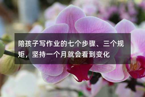 陪孩子写作业的七个步骤、三个规矩,坚持一个月就会看到变化