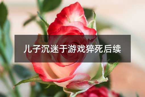 儿子沉迷于游戏猝死后续