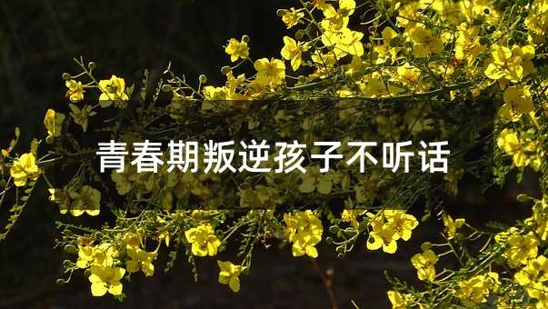 青春期叛逆孩子不听话