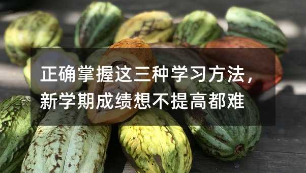 正确掌握这三种学习方法,新学期成绩想不提高都难
