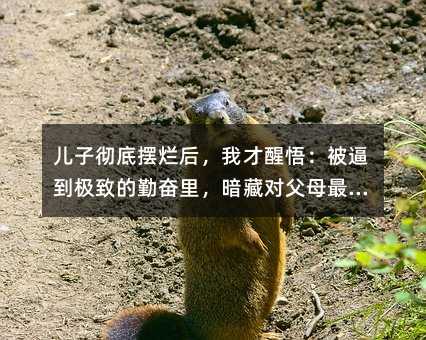 儿子彻底摆烂后,我才醒悟:被逼到极致的勤奋里,暗藏对父母最大的报复……