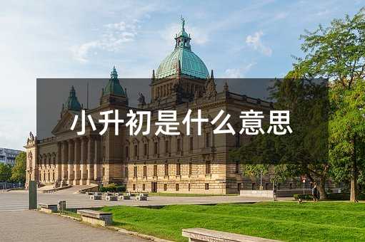 小升初是什么意思