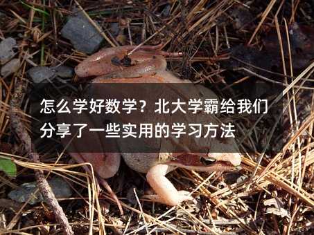 怎么学好数学?北大学霸给我们分享了一些实用的学习方法