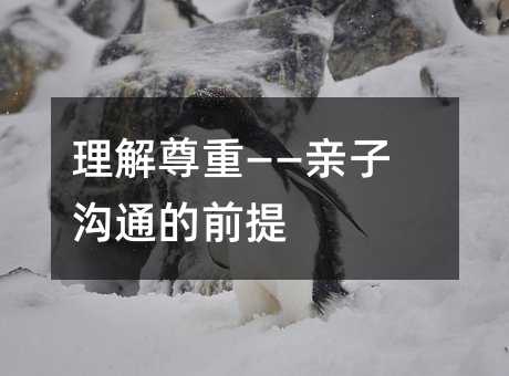 理解尊重——亲子交流的首要条件