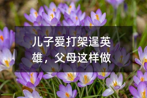 儿子爱打架逞英雄,父母这样做