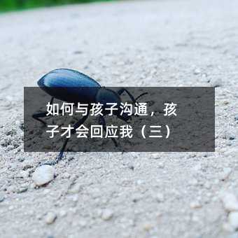 如何与孩子沟通,孩子才会回应我(三)
