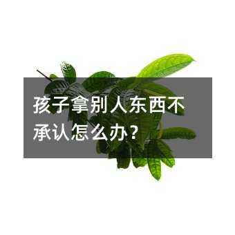 孩子拿别人东西不承认怎么办?