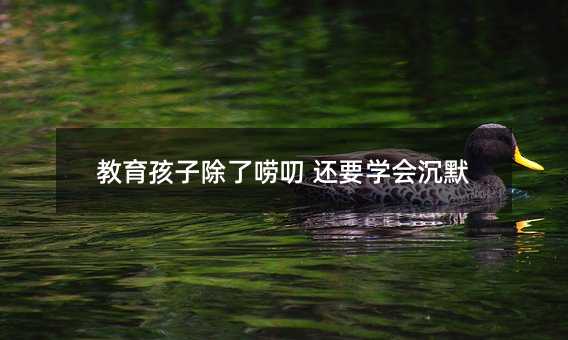 教育孩子除去唠叨 还要掌握沉默