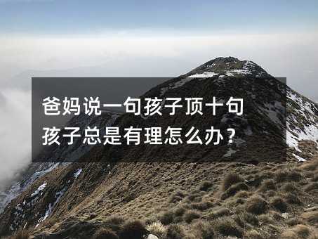 爸妈说一句孩子顶十句 孩子总是有理怎么办?
