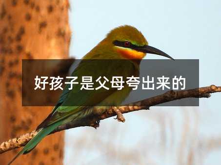 好孩子是爸爸妈妈夸出来的