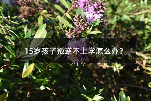 15岁孩子叛逆不上学怎么办?