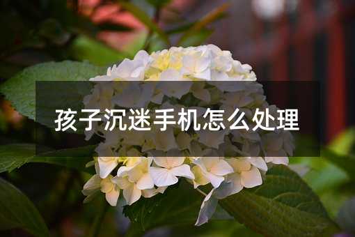 孩子沉迷手机如何处置
