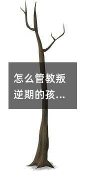 如何管教青春叛逆期的孩子？