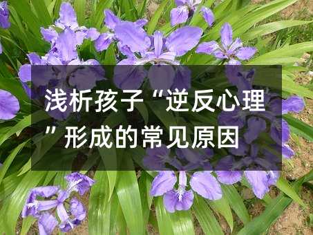 浅谈孩子“逆反心理”形成的容易见到缘由
