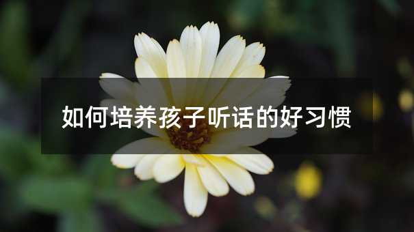 如何培养孩子听话的好习惯
