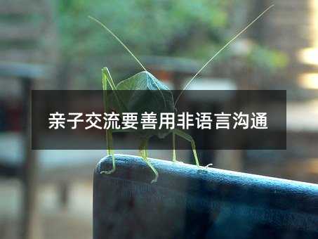 亲子交流要善用非语言交流