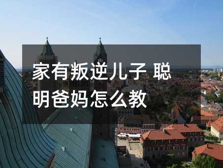 家有不听话儿子 聪明父母如何教