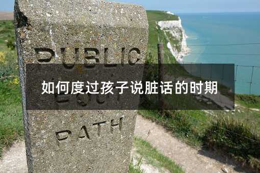怎么样度过孩子说脏话的时期