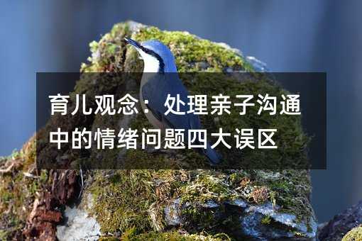 育儿观念:处理亲子沟通中的情绪问题四大误区